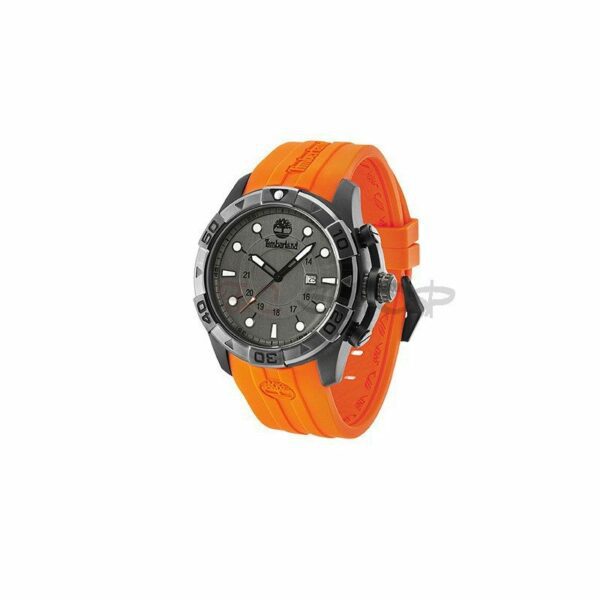 Montre Homme Collection Timberland Modèle Arlington TBL14108JSUB/61